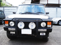 93 Vanden Plas (Moss Wood Green)